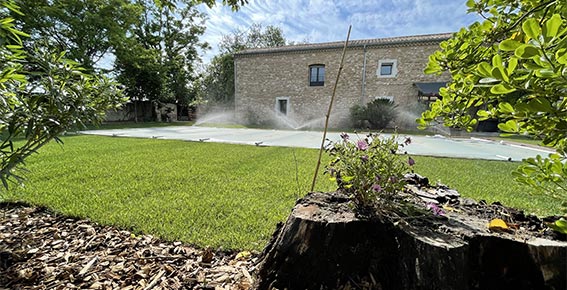 Jardin rénové avec différentes plantes et arrosoirs automatiques