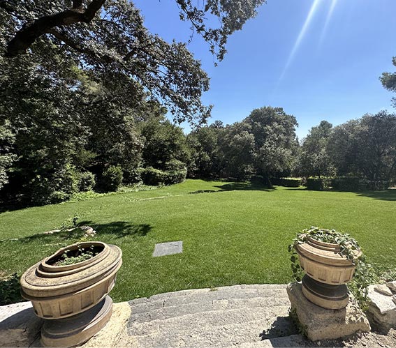 Jardin rénové avec différentes plantes et arbres
