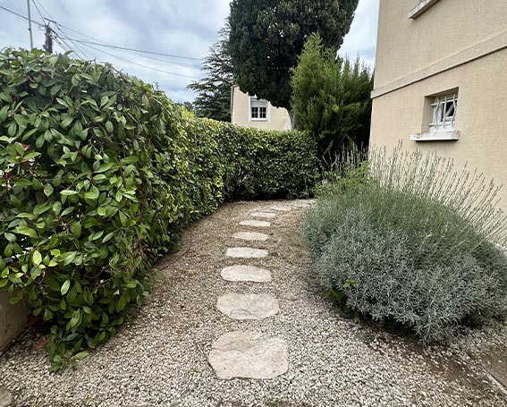 Allée de jardin rénové avec différentes plantes