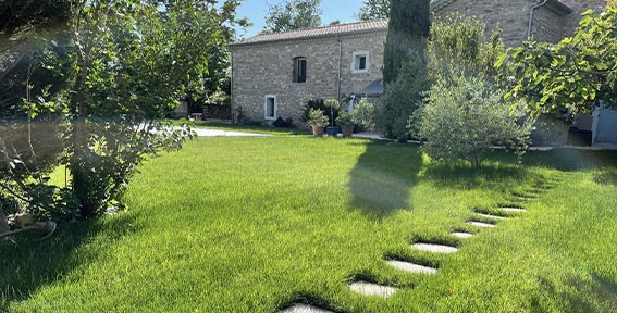 Jardin rénové avec différentes plantes