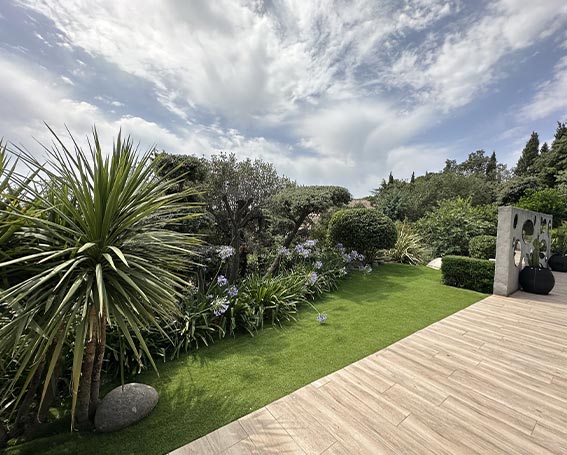 Jardin rénové avec différentes plantes
