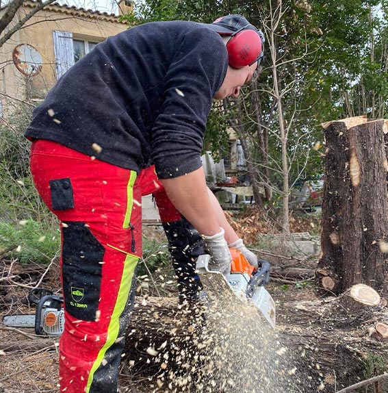 Élagueur qui coupe un tronc d'arbre