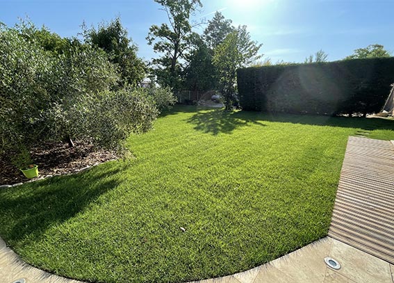 Jardin rénové avec différentes plantes et pelouse